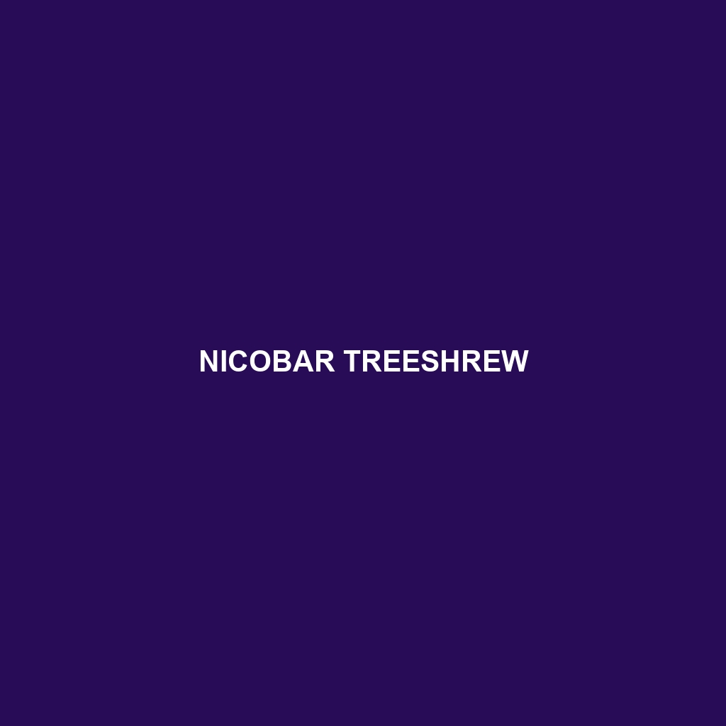 Nicobar Treeshrew