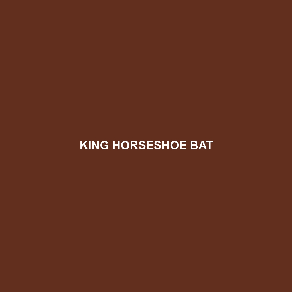 King Horseshoe Bat