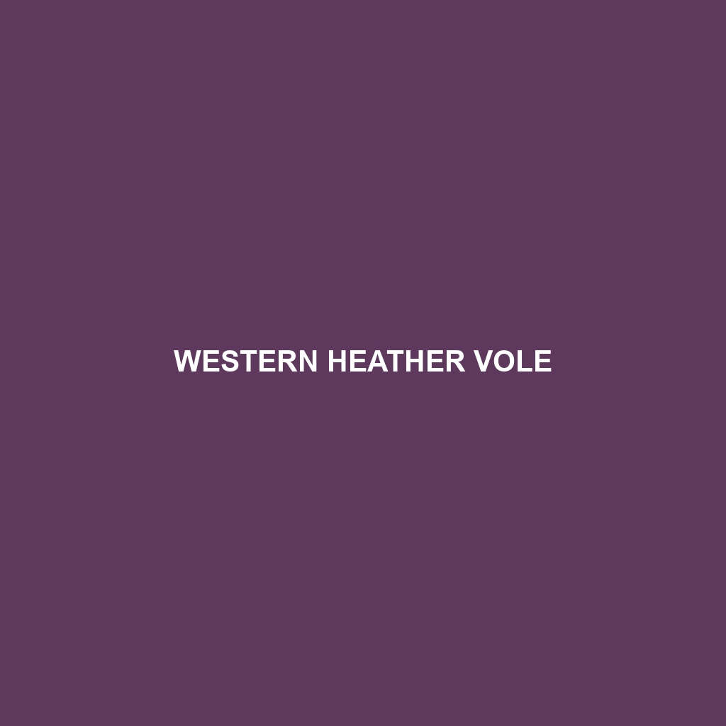 Western Heather Vole