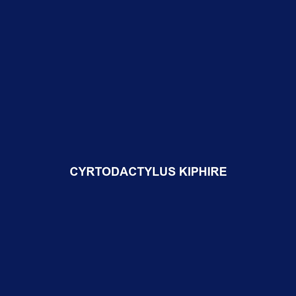 Cyrtodactylus kiphire