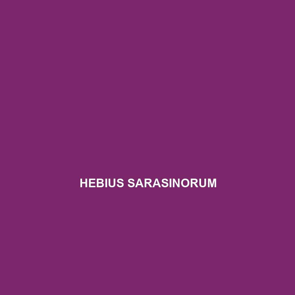 Hebius sarasinorum