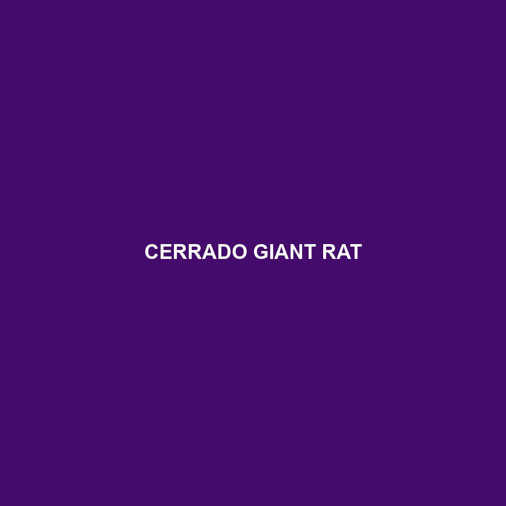 Cerrado Giant Rat