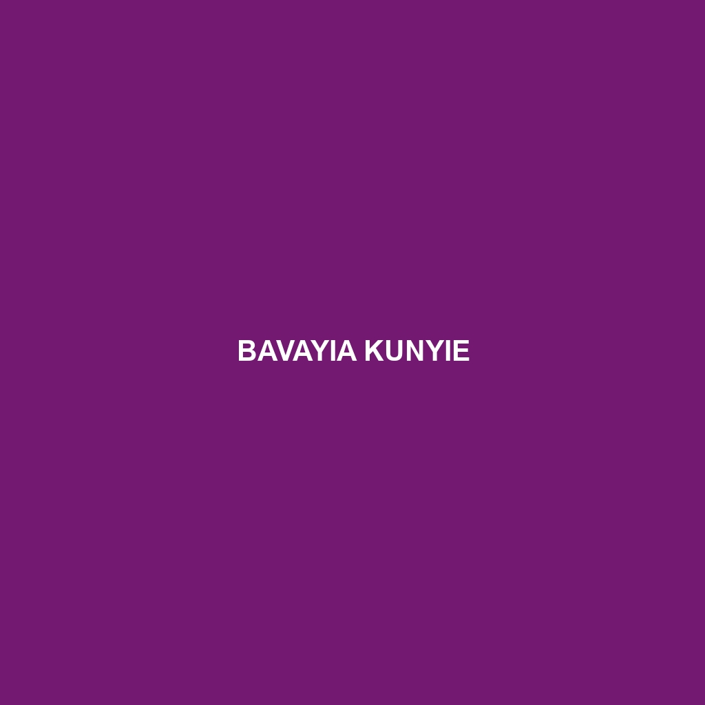 Bavayia kunyie