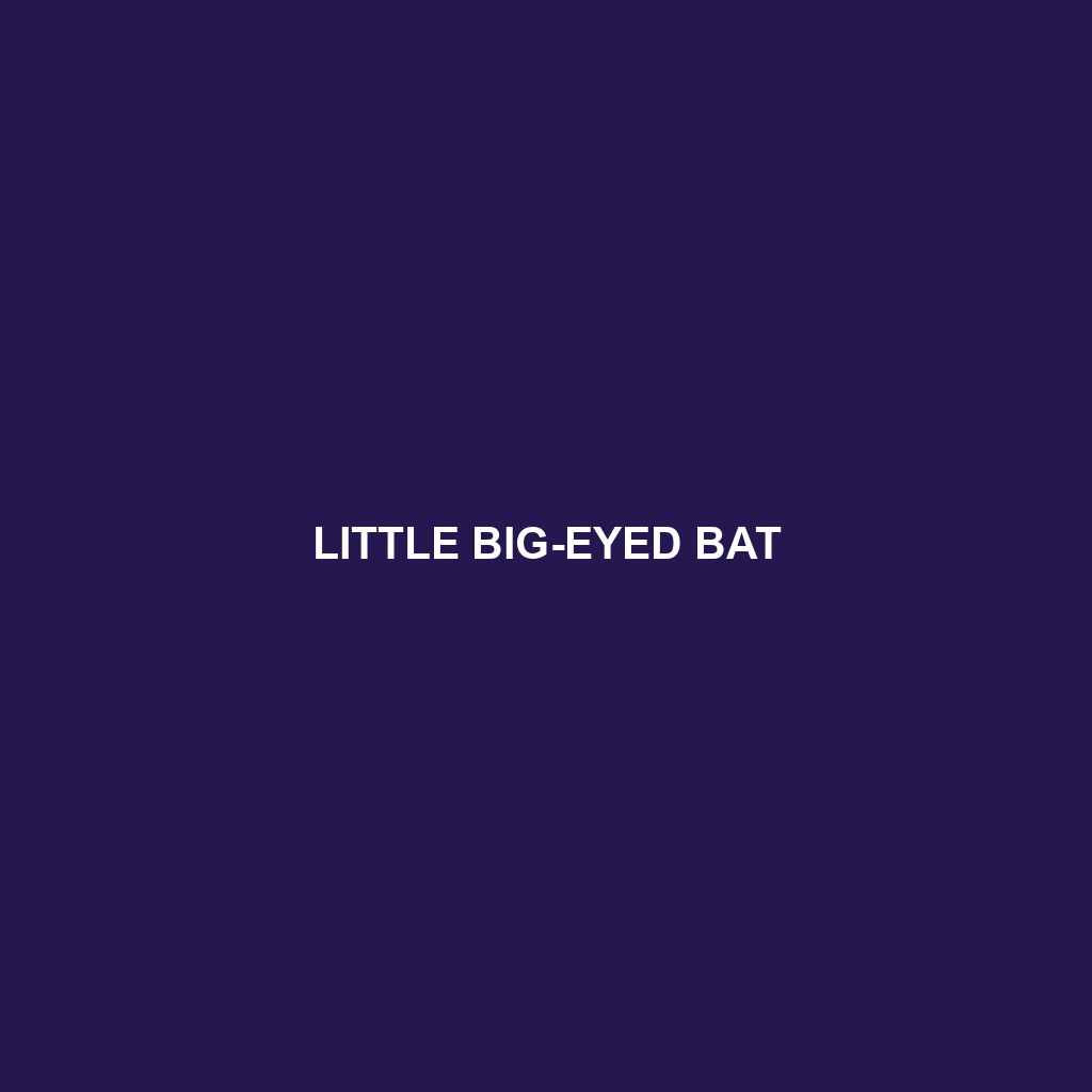 Little Big-eyed Bat