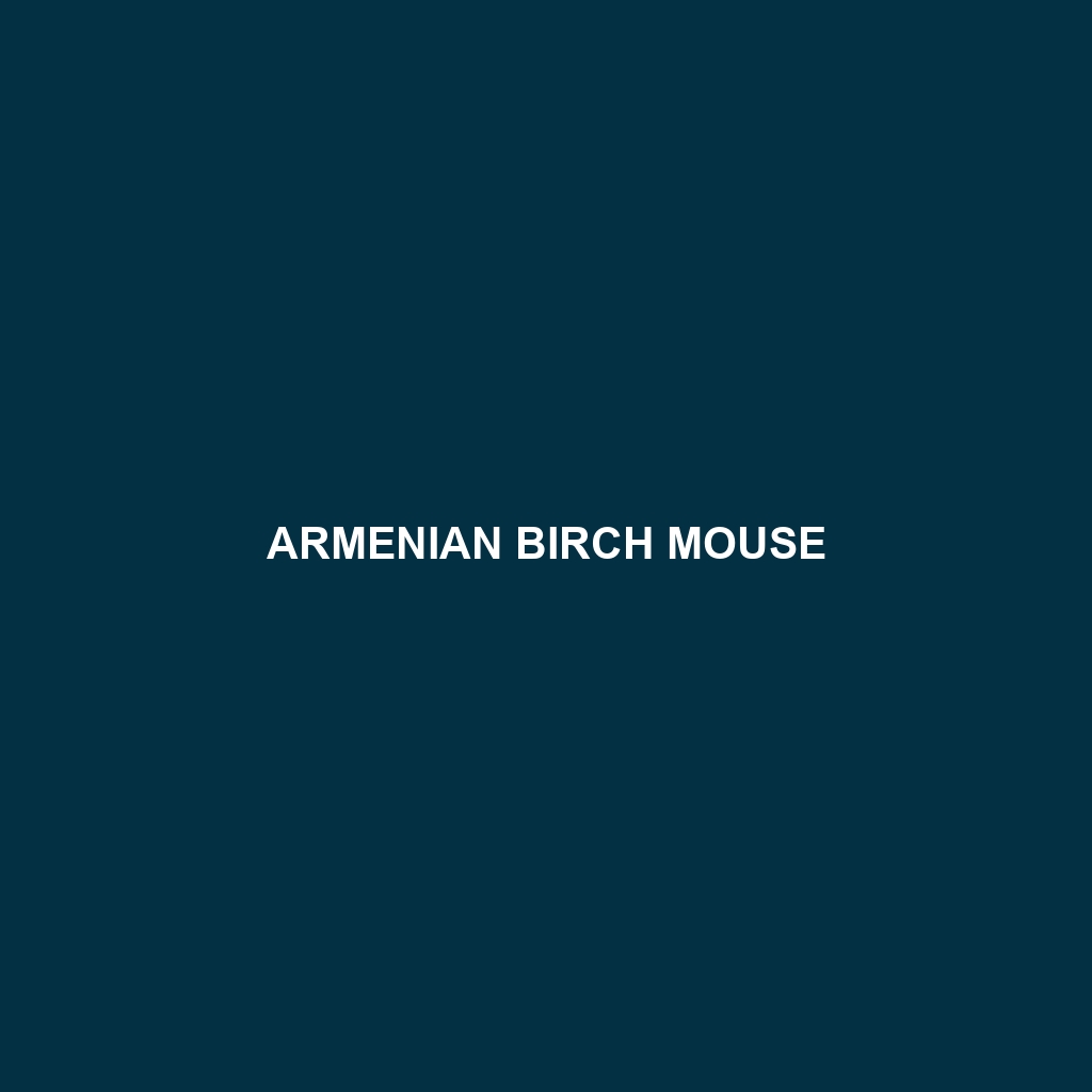 Armenian Birch Mouse