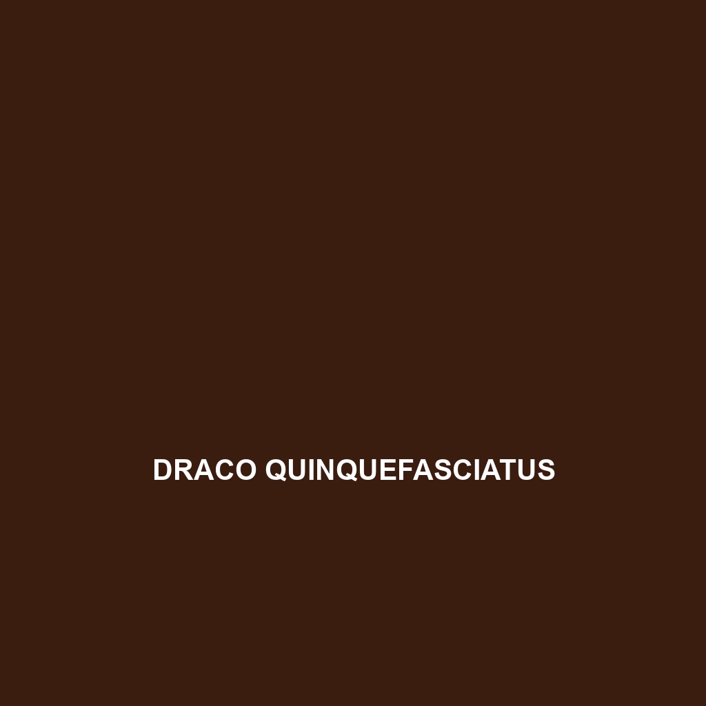 Draco quinquefasciatus