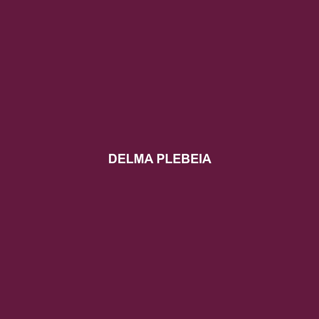 Delma plebeia