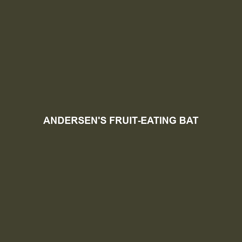 Andersen's Fruit-eating Bat