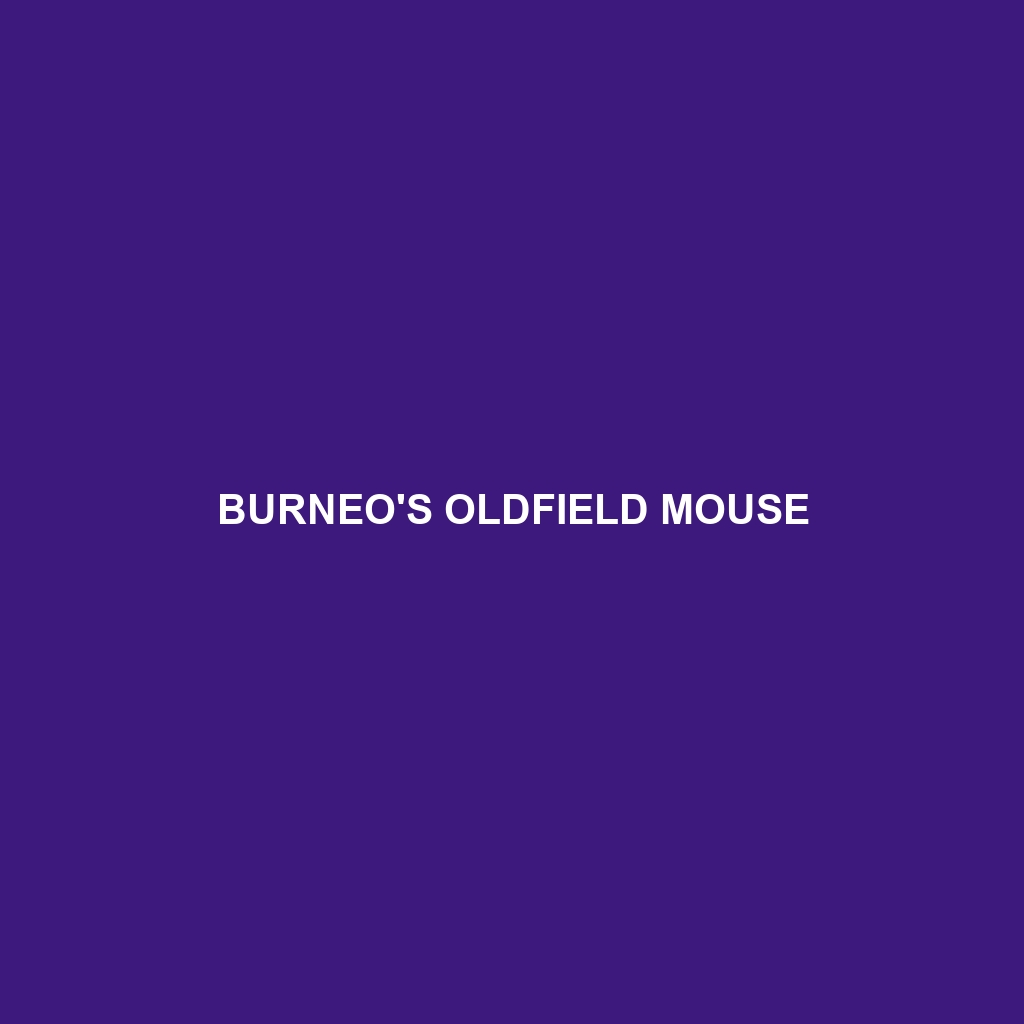 Burneo's Oldfield Mouse