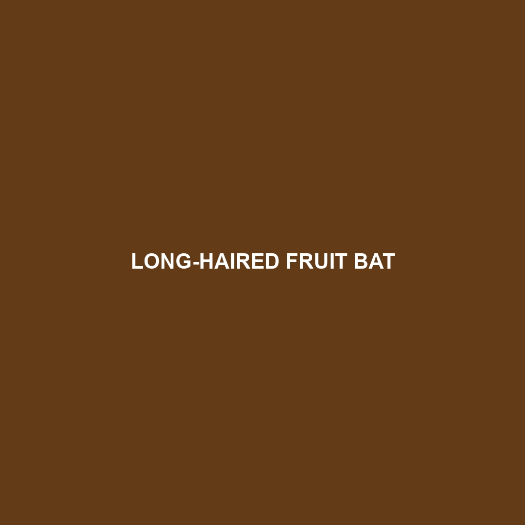 Long-haired Fruit Bat