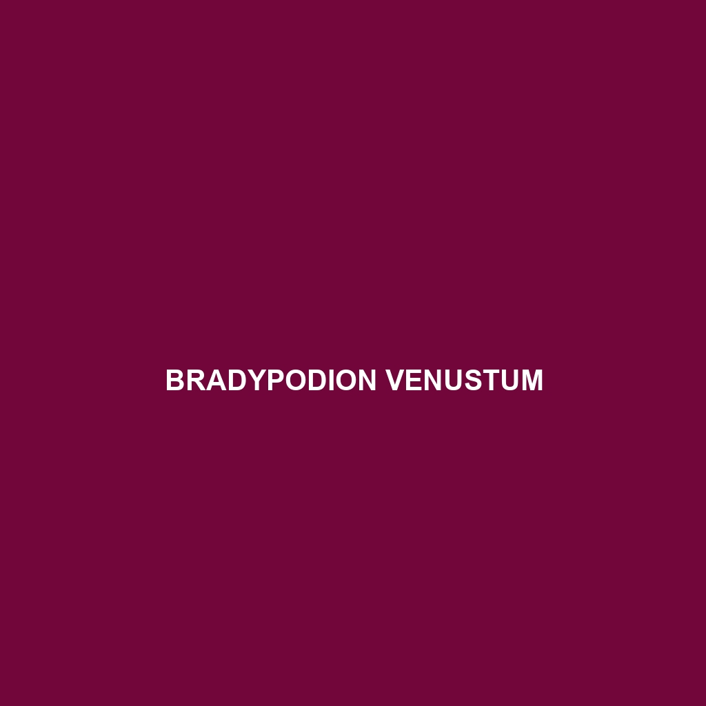 Bradypodion venustum