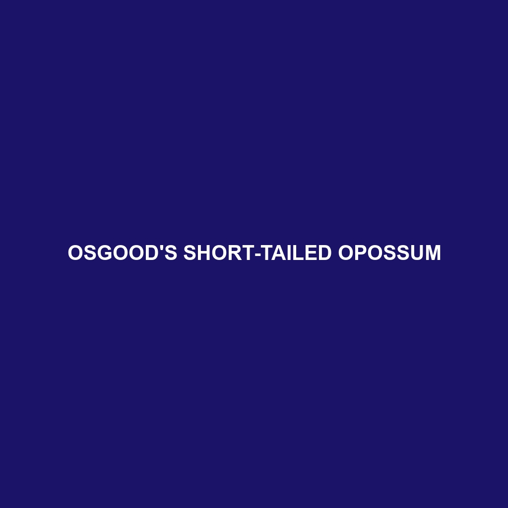 Osgood's Short-tailed Opossum