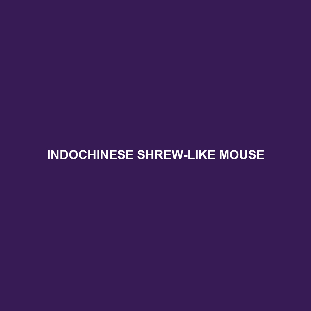 Indochinese Shrew-like Mouse