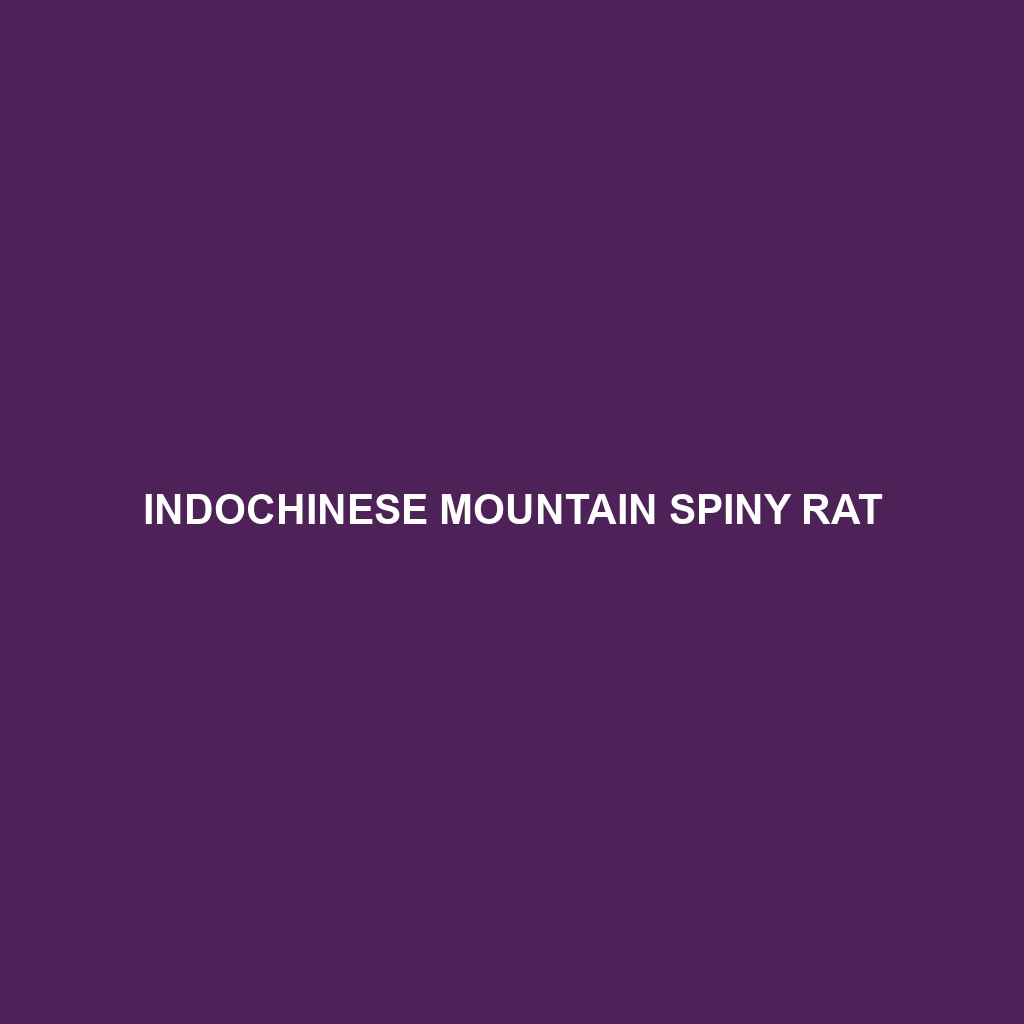 Indochinese Mountain Spiny Rat