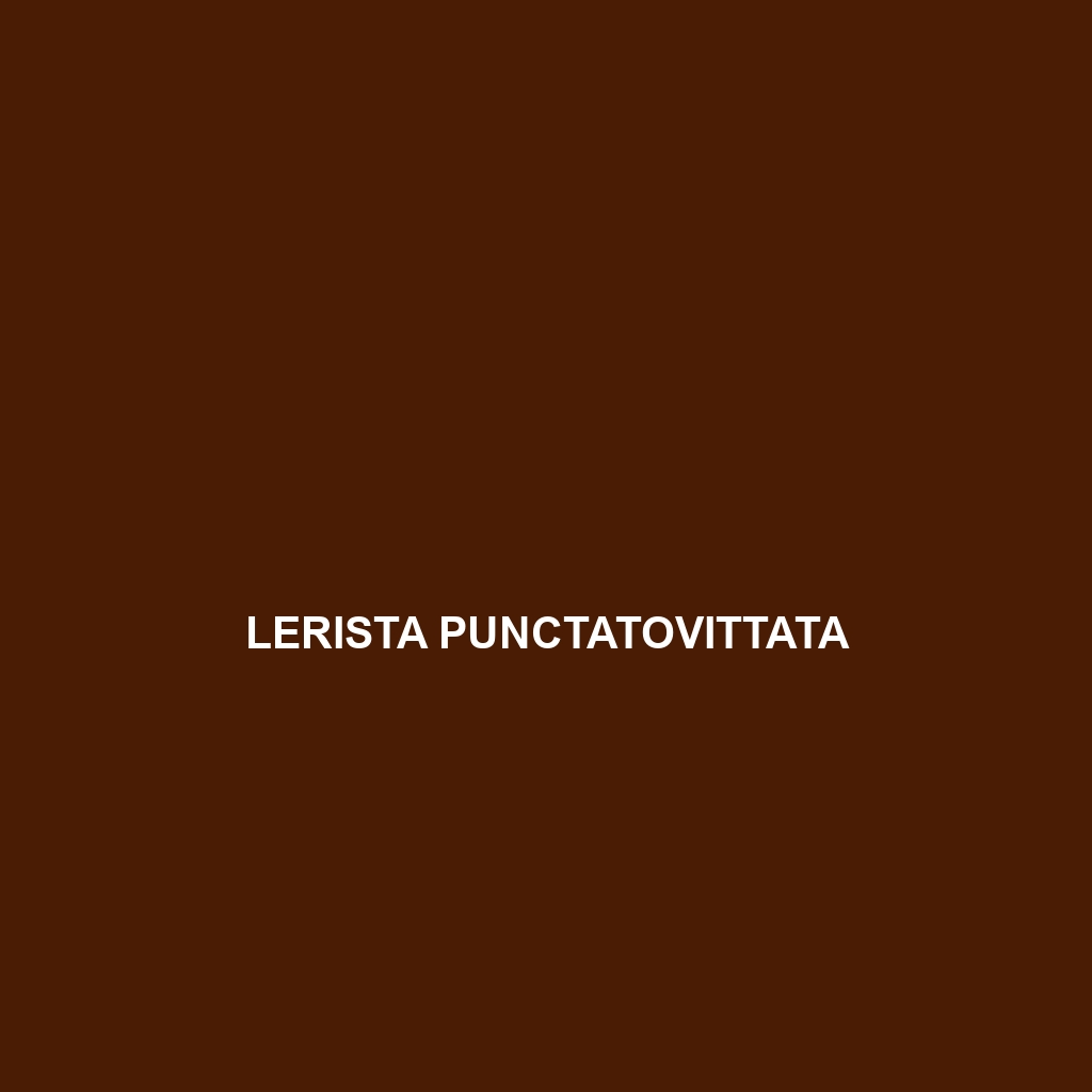 Lerista punctatovittata