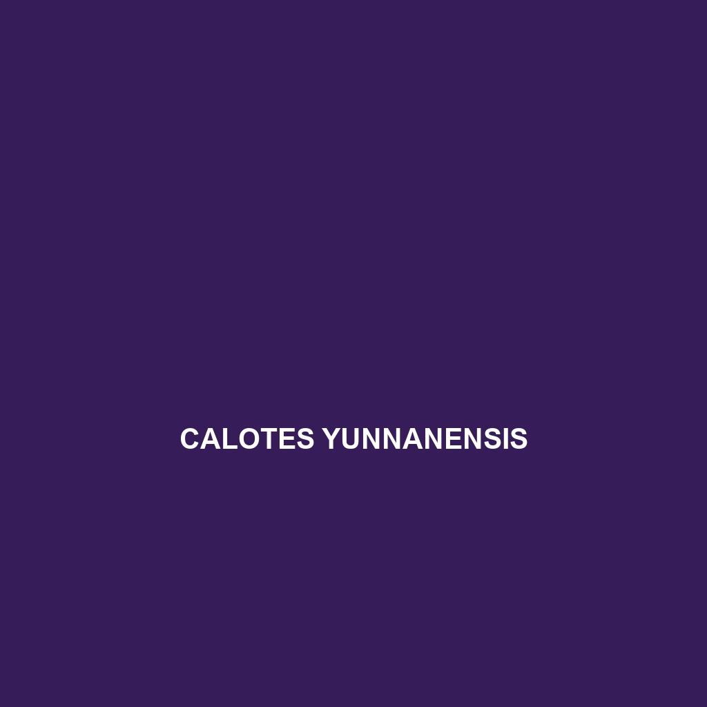 Calotes yunnanensis