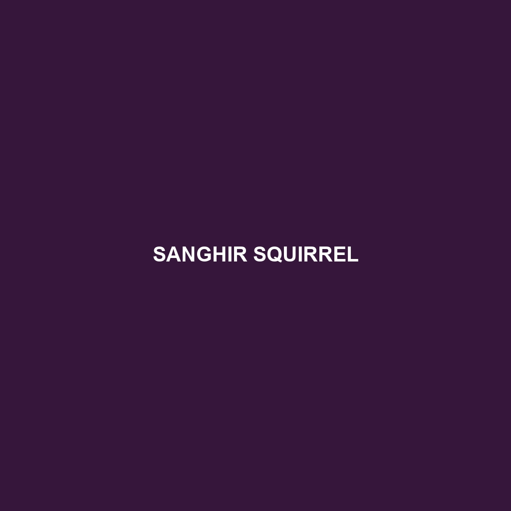 Sanghir Squirrel