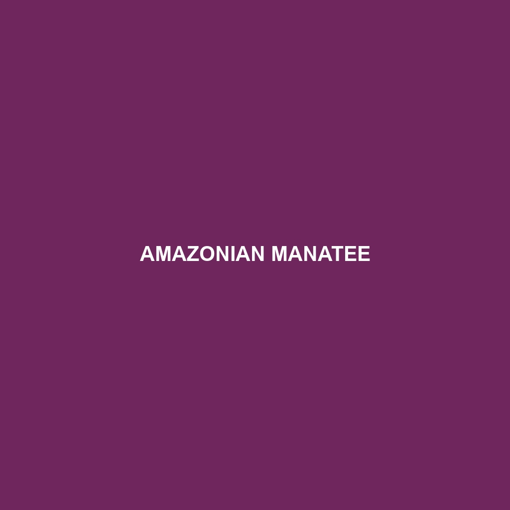 Amazonian Manatee