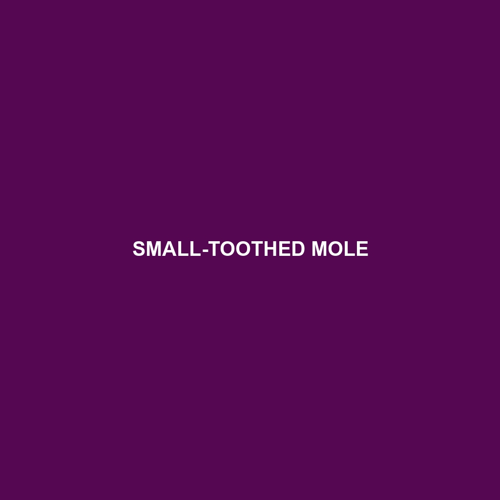 Small-toothed Mole