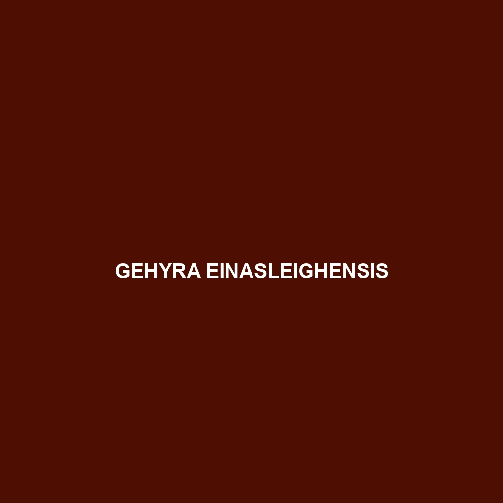 Gehyra einasleighensis