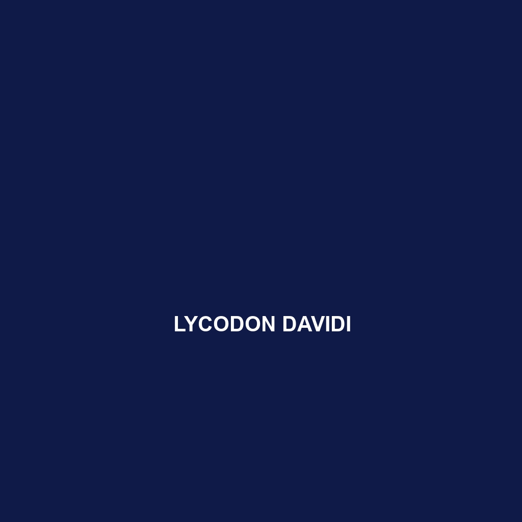 Lycodon davidi