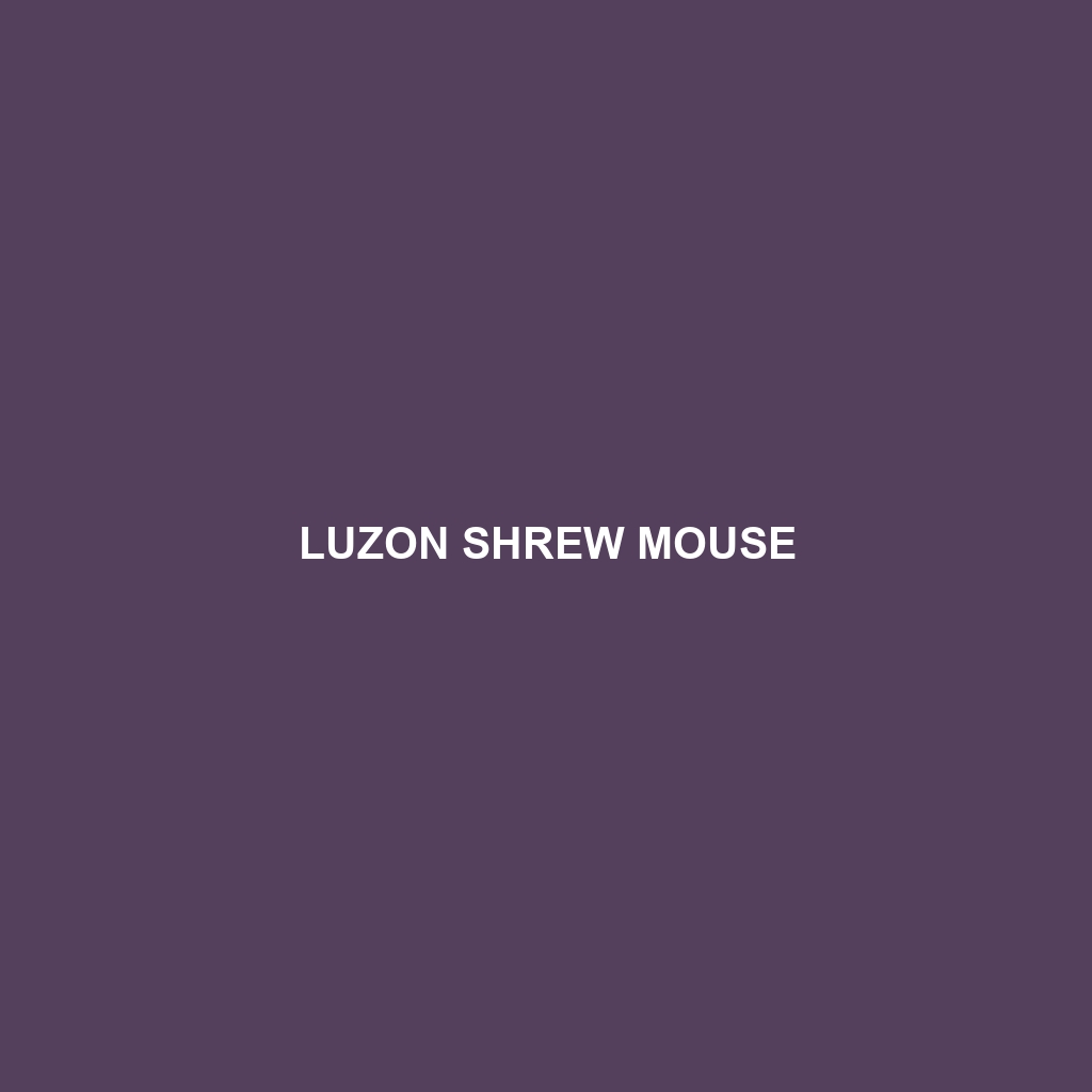 Luzon Shrew Mouse