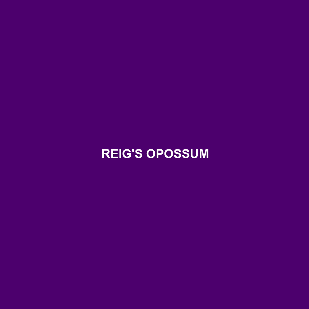 Reig's Opossum