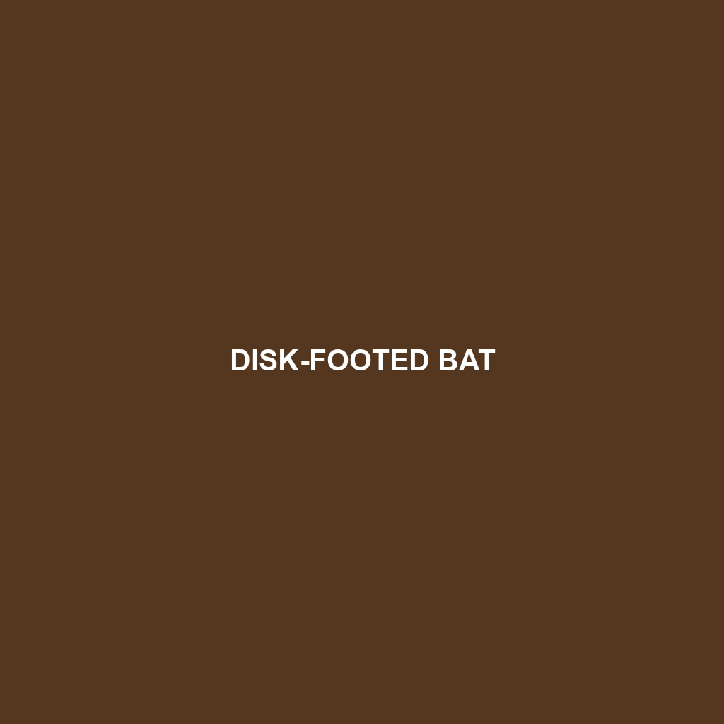 Disk-footed Bat