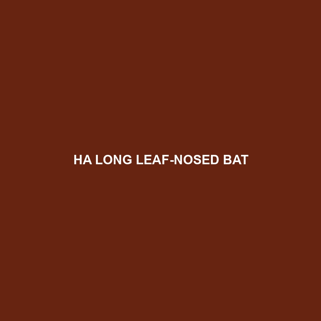 Ha Long Leaf-nosed Bat