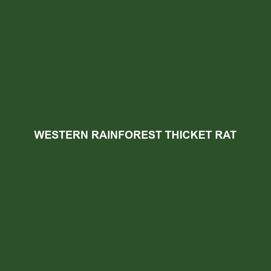 Western Rainforest Thicket Rat