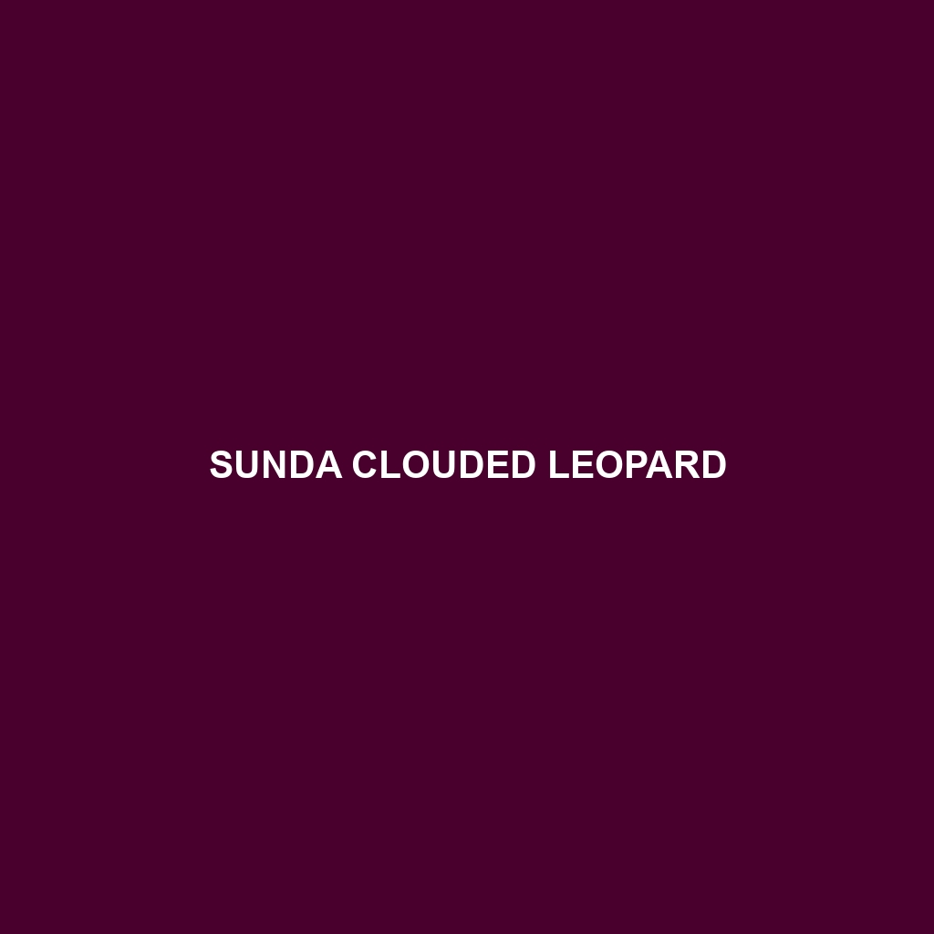 Sunda Clouded Leopard