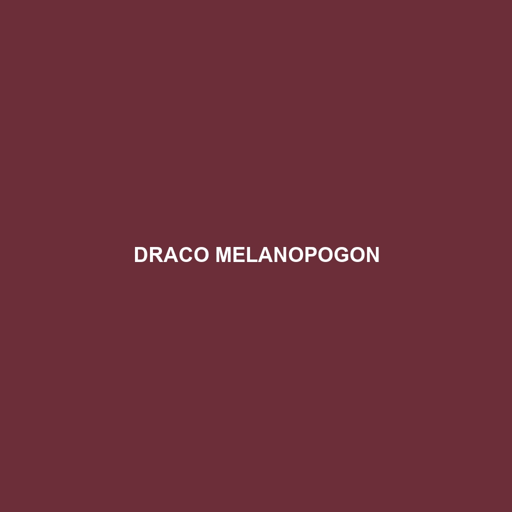 Draco melanopogon