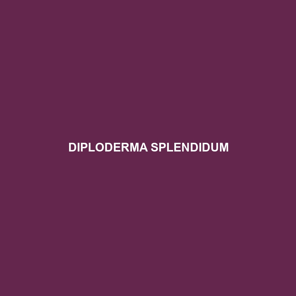 Diploderma splendidum