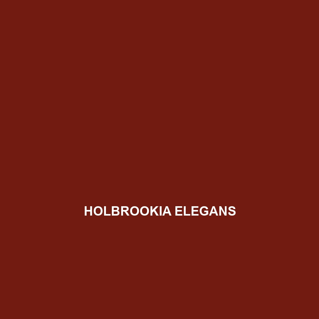 Holbrookia elegans