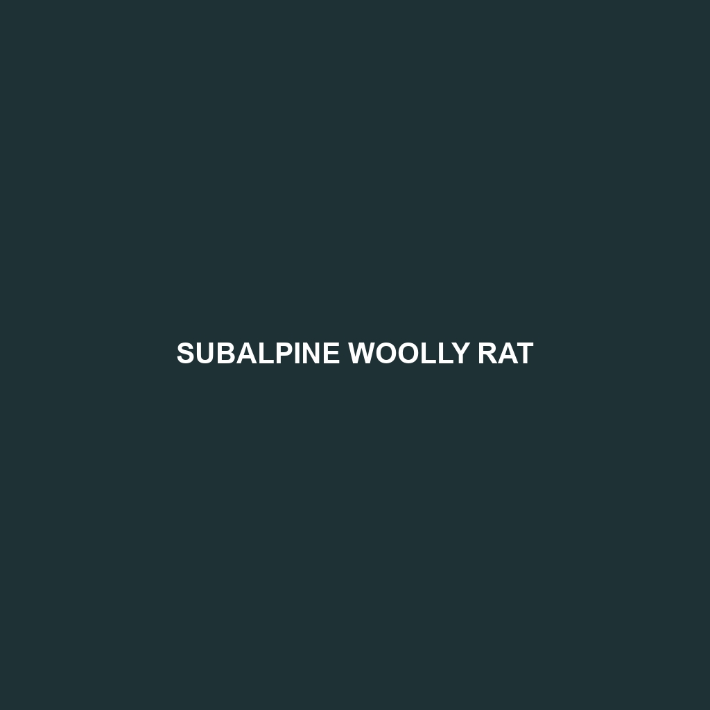 Subalpine Woolly Rat