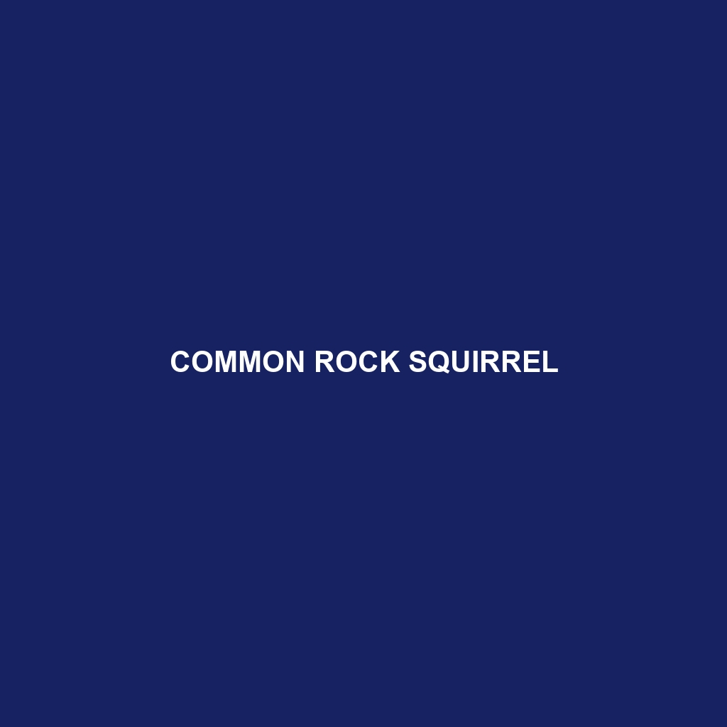 Common Rock Squirrel