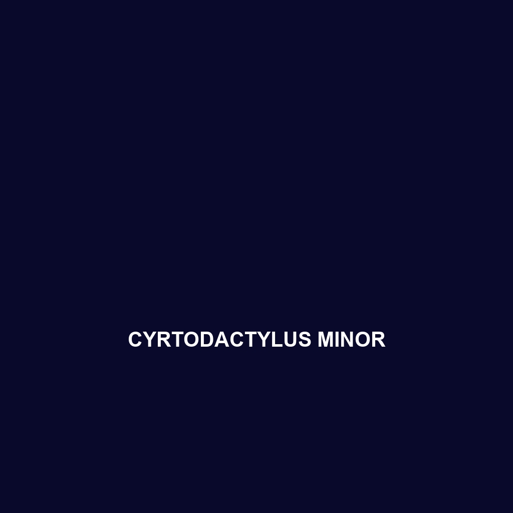 Cyrtodactylus minor