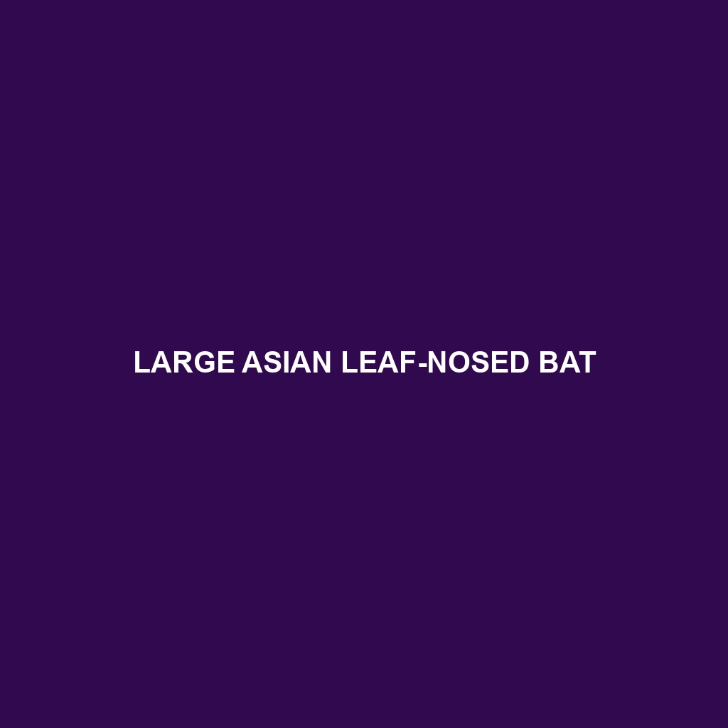 Large Asian Leaf-nosed Bat