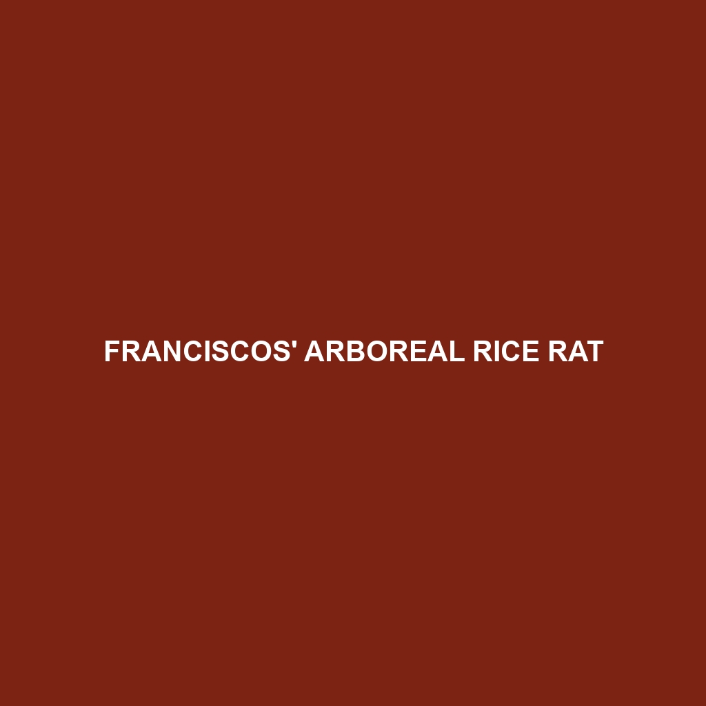 Franciscos' Arboreal Rice Rat