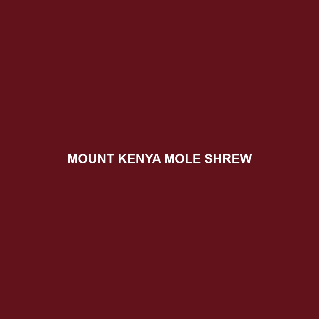 Mount Kenya Mole Shrew