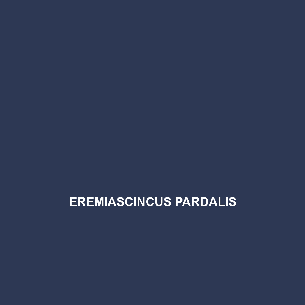 Eremiascincus pardalis