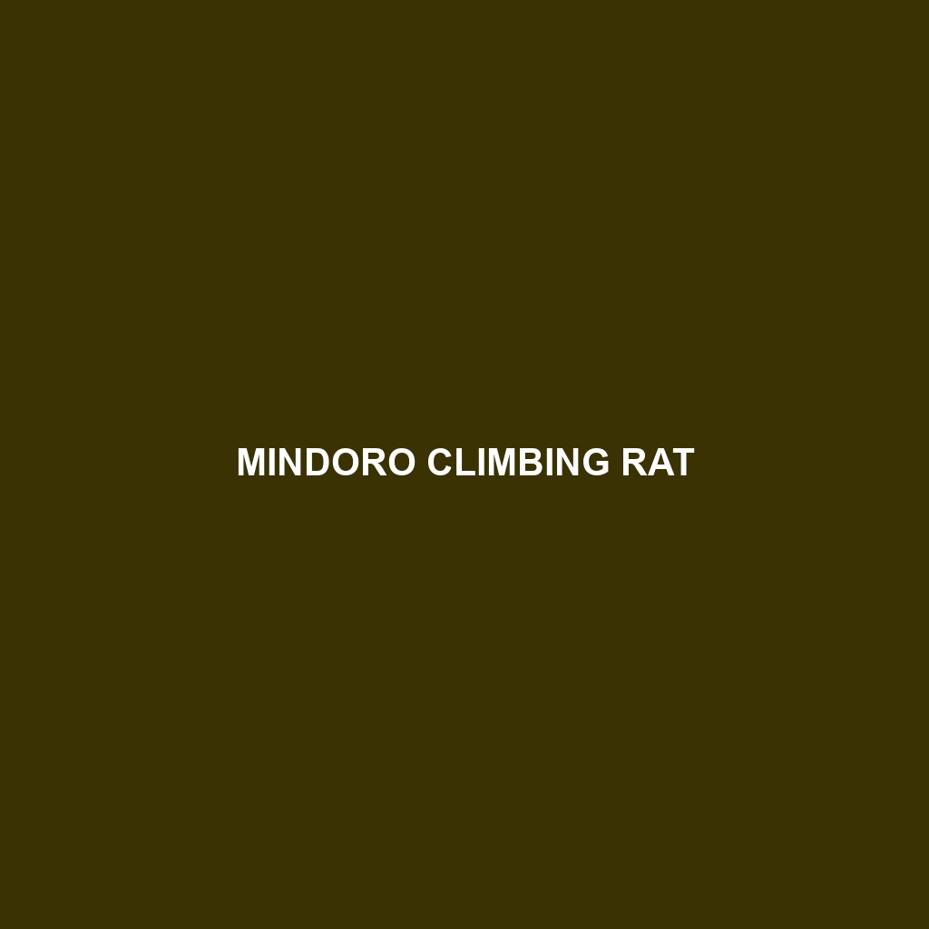 Mindoro Climbing Rat