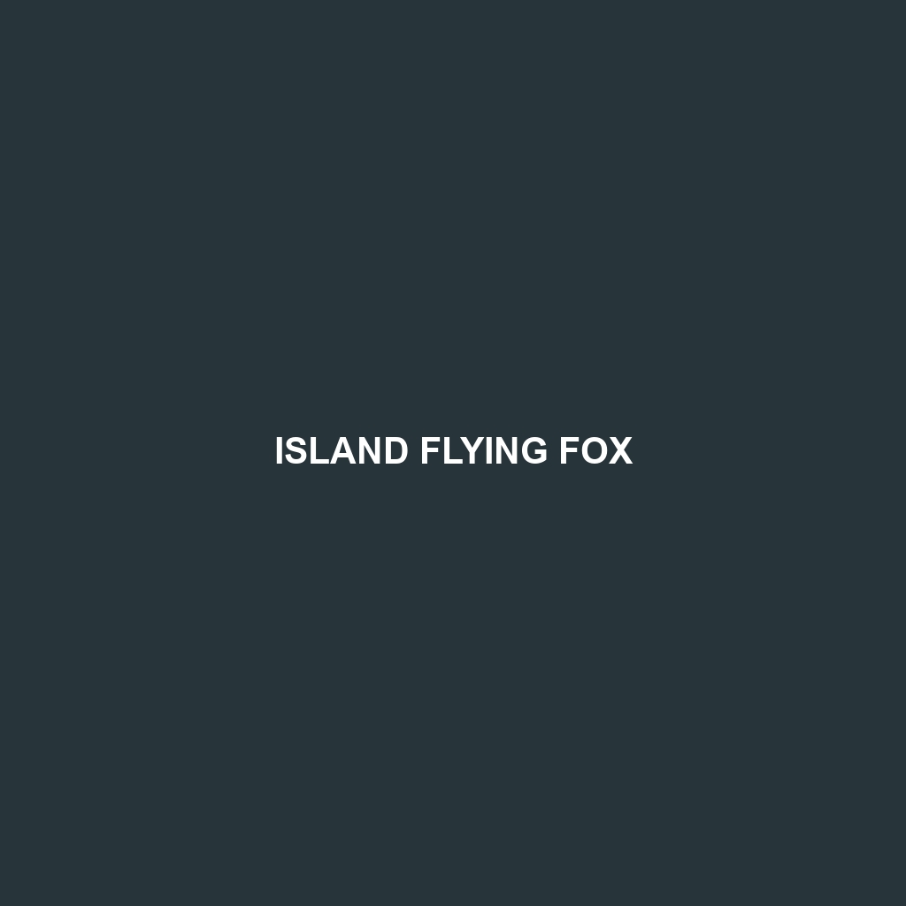 Island Flying Fox