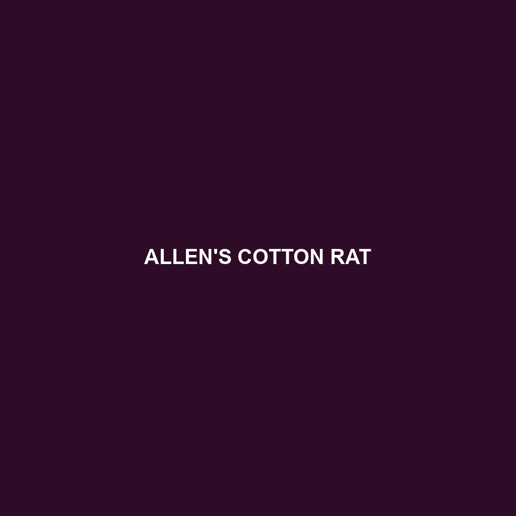 Allen's Cotton Rat