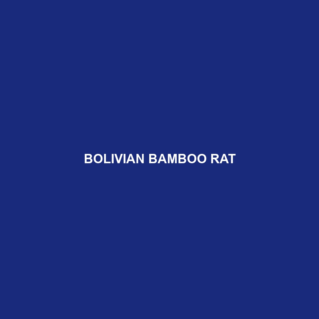 Bolivian Bamboo Rat