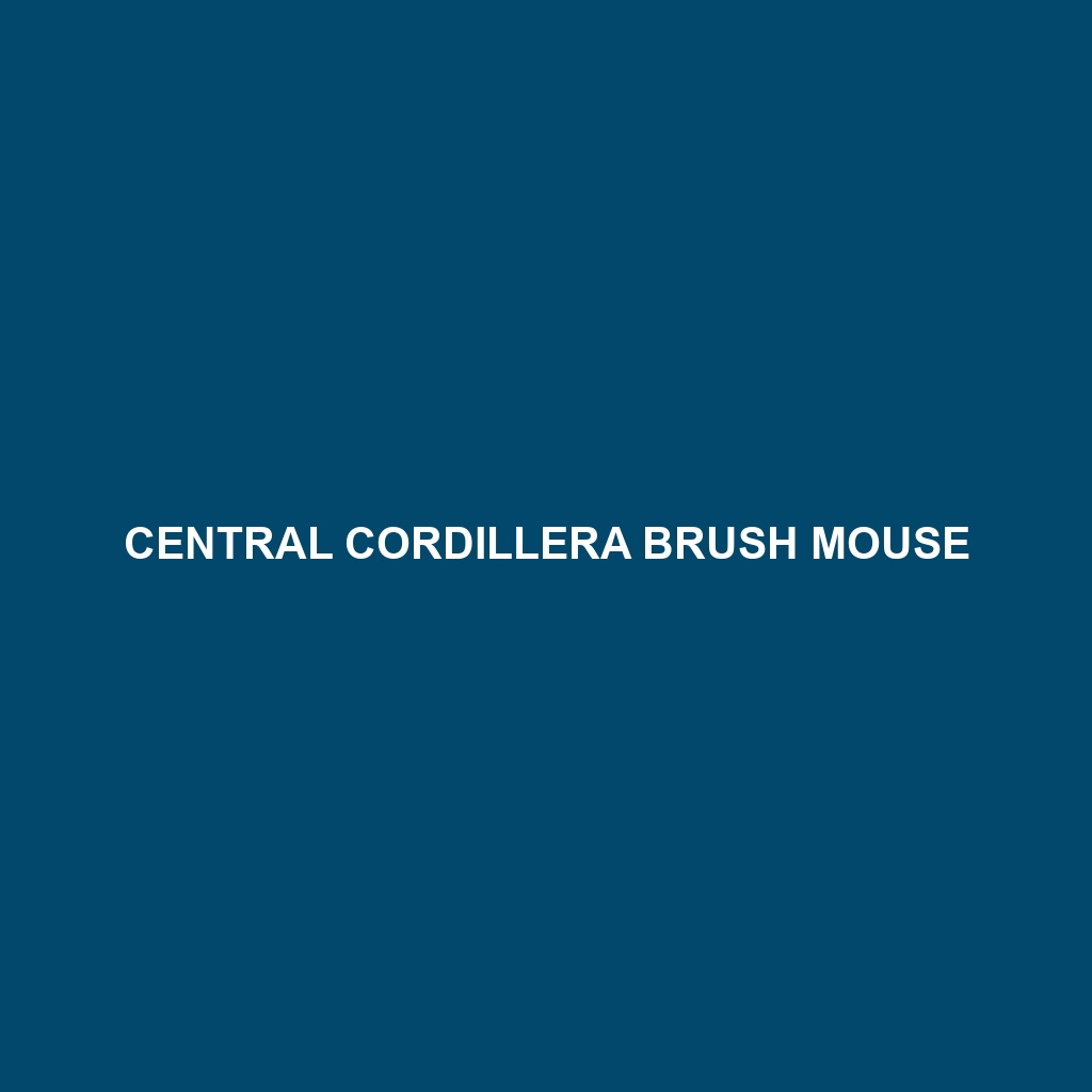 Central Cordillera Brush Mouse