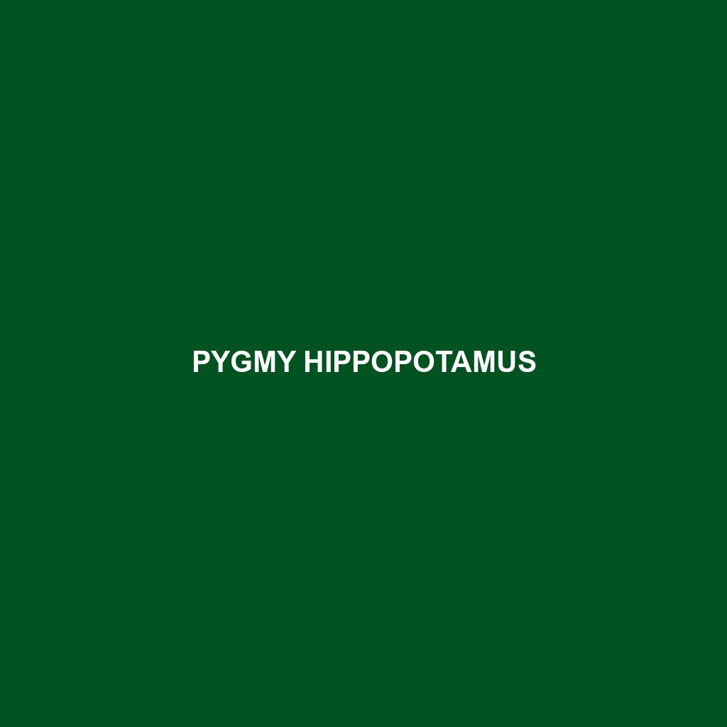 Pygmy Hippopotamus