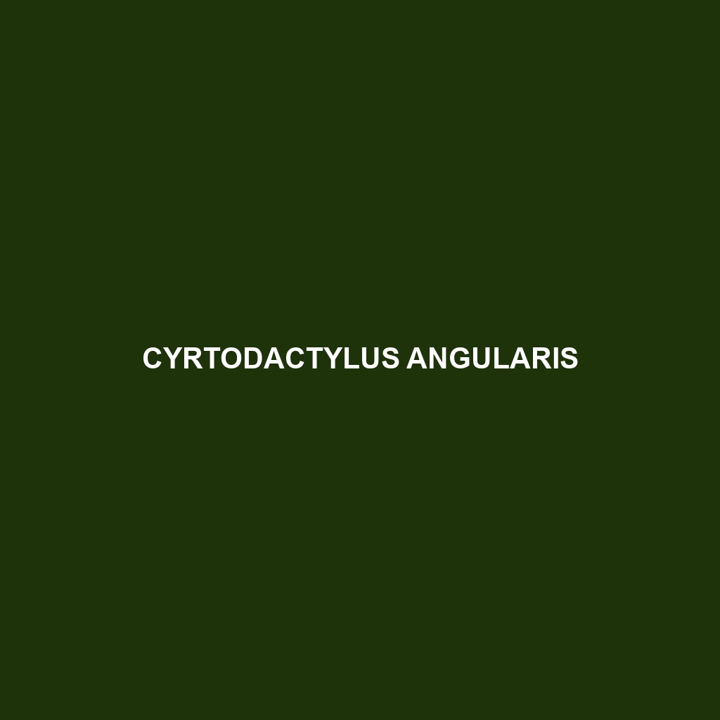 Cyrtodactylus angularis