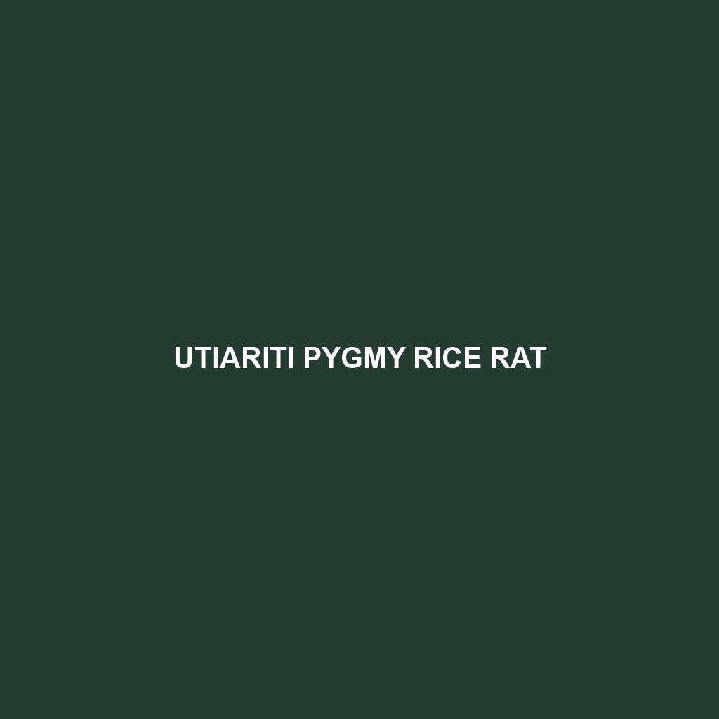 Utiariti Pygmy Rice Rat