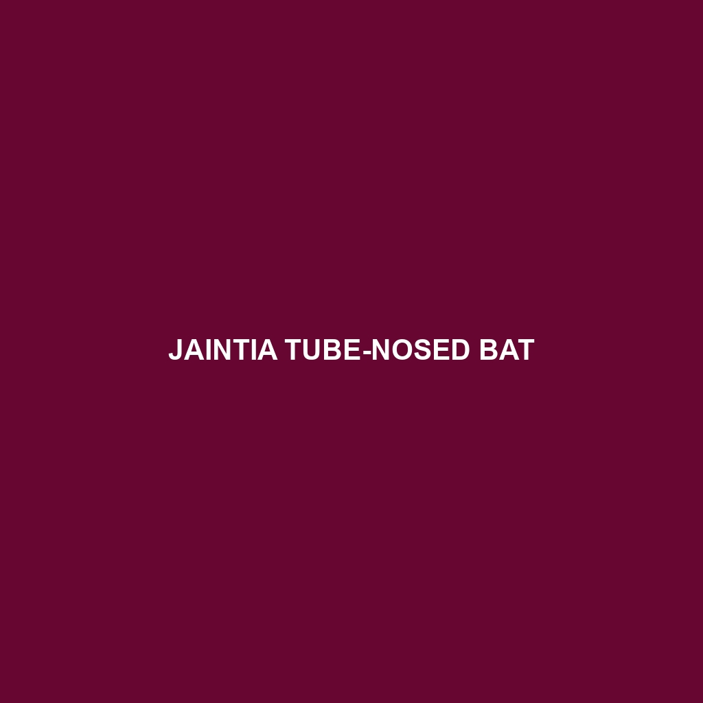 Jaintia Tube-nosed Bat